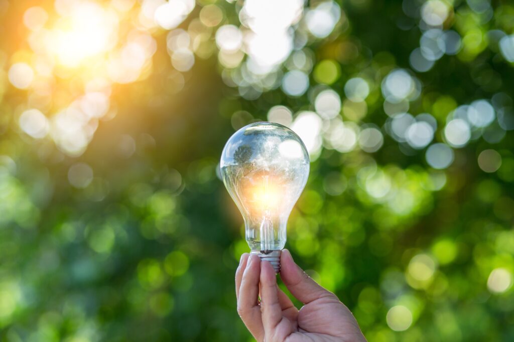 Can Renewable Energy and Fossil Fuels Coexist Profitably?