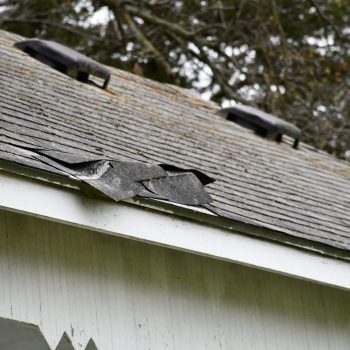 Damaged Roof Shingles